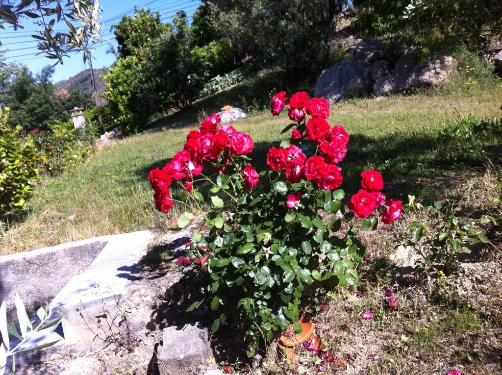 Al Vivenda Romantica Gerês Extérieur photo